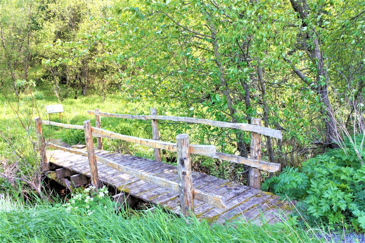 Solheimar Eco-Village Guesthouse Екстер'єр фото
